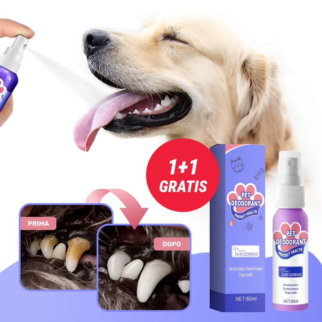 DentalPaws - Elimina la placca, abbraccia il sorriso perfetto! (1+1 Gratis)