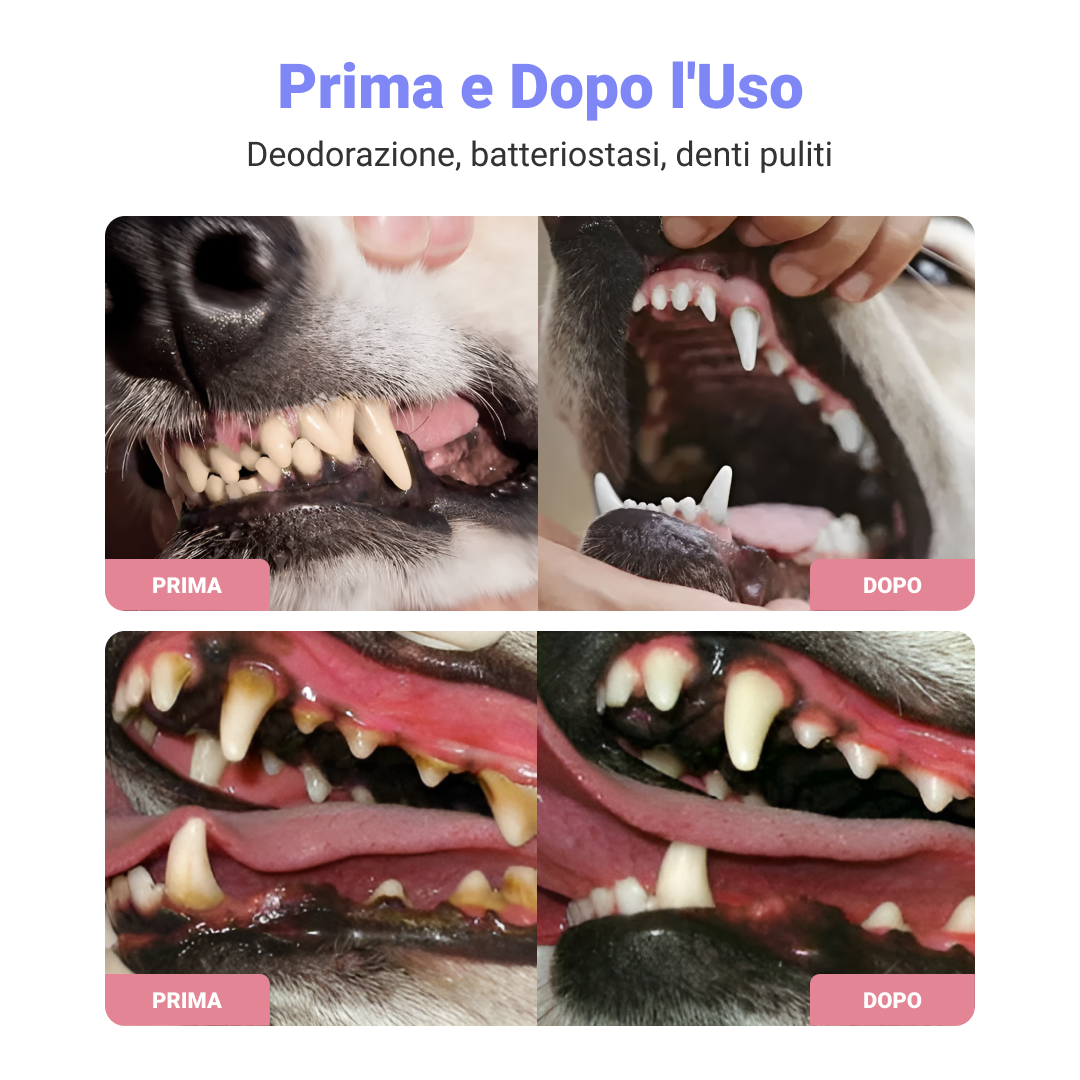 DentalPaws - Elimina la placca, abbraccia il sorriso perfetto! (1+1 Gratis) - immagine 2
