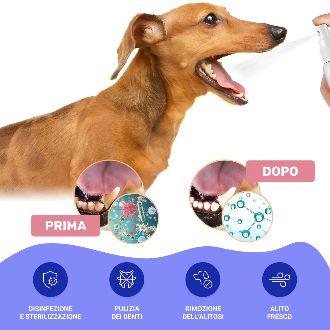 DentalPaws - Elimina la placca, abbraccia il sorriso perfetto! (1+1 Gratis) - immagine 3