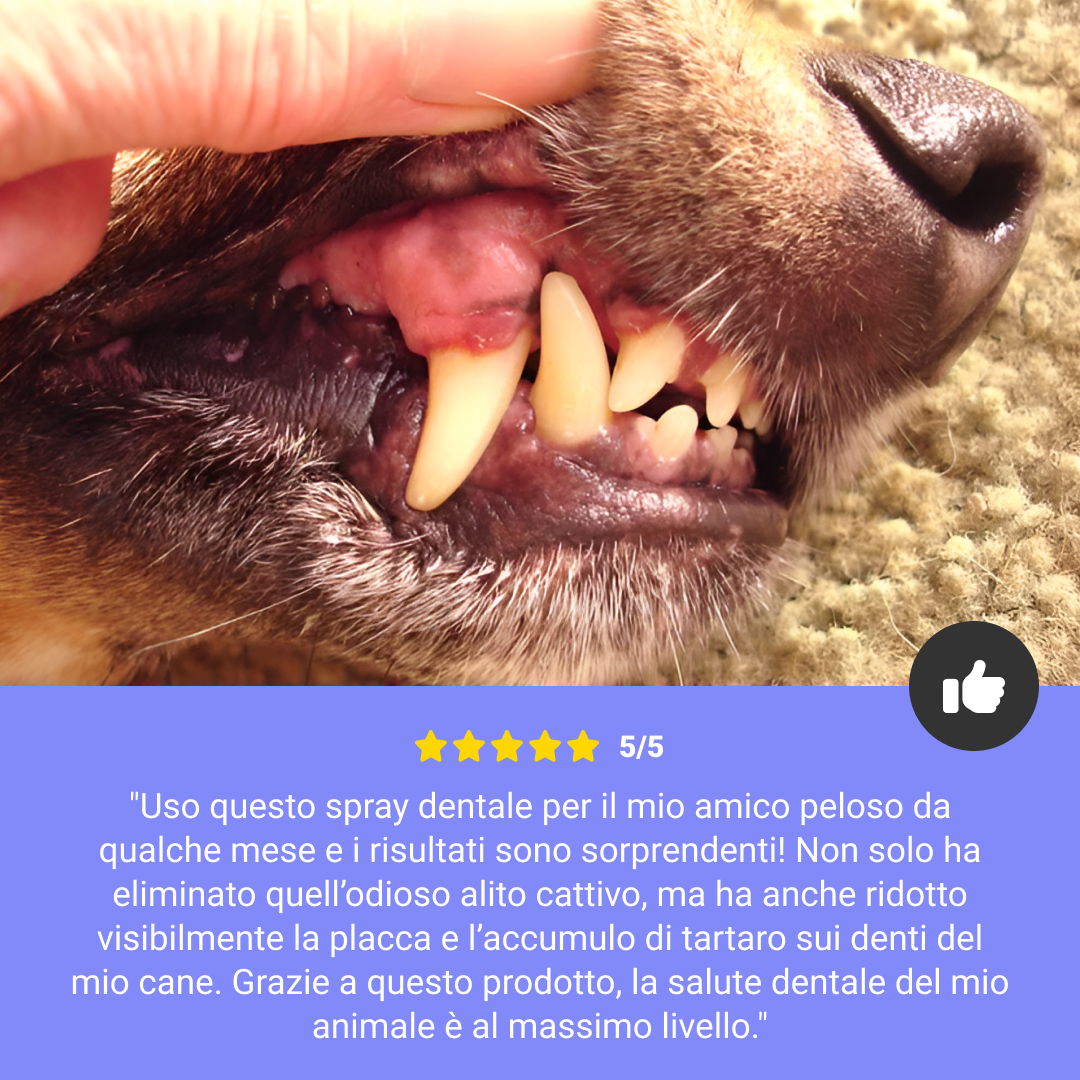 DentalPaws - Elimina la placca, abbraccia il sorriso perfetto! (1+1 Gratis) - immagine 5