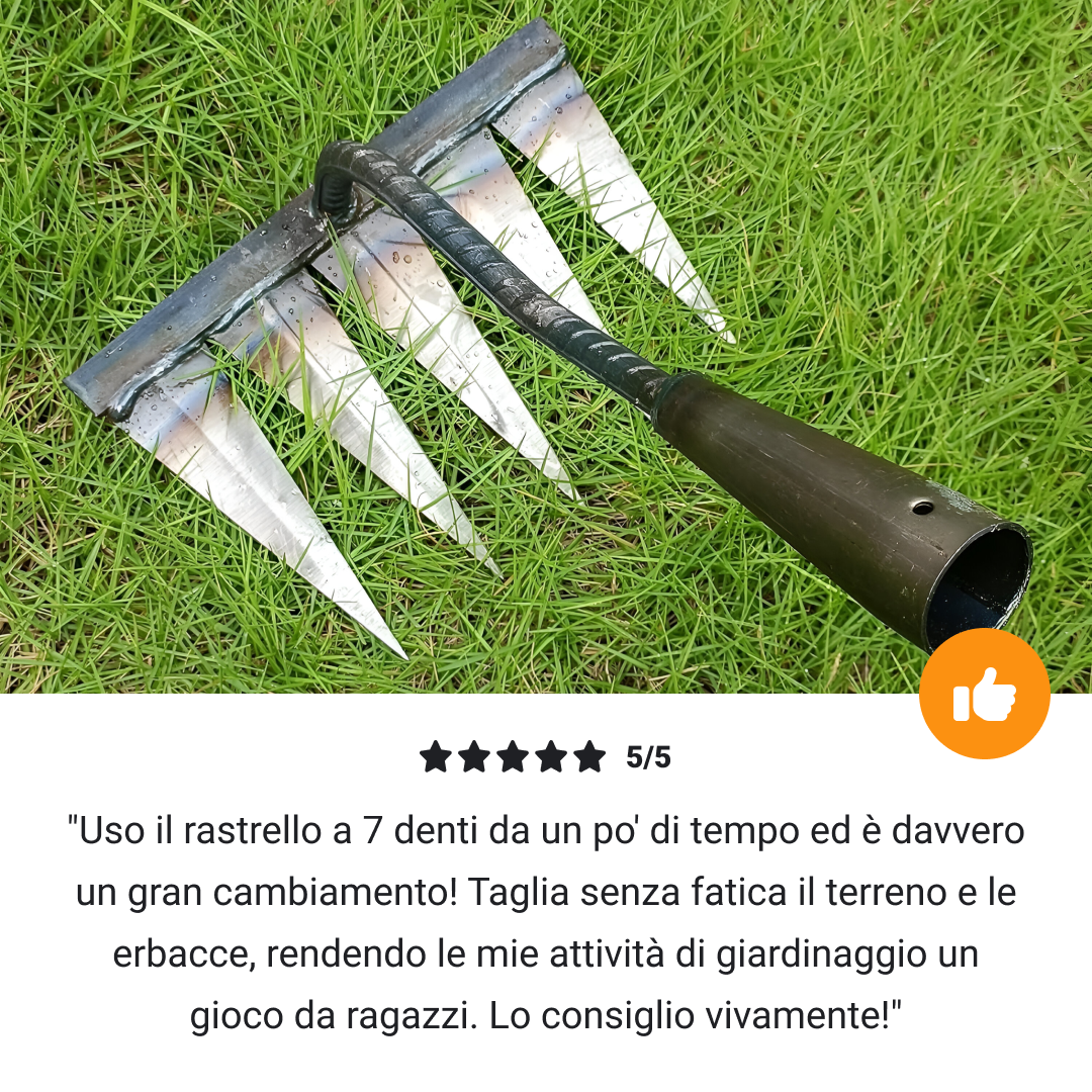 TOOTHRAKE™ RASTRELLO DA SARCHIATURA - immagine 6