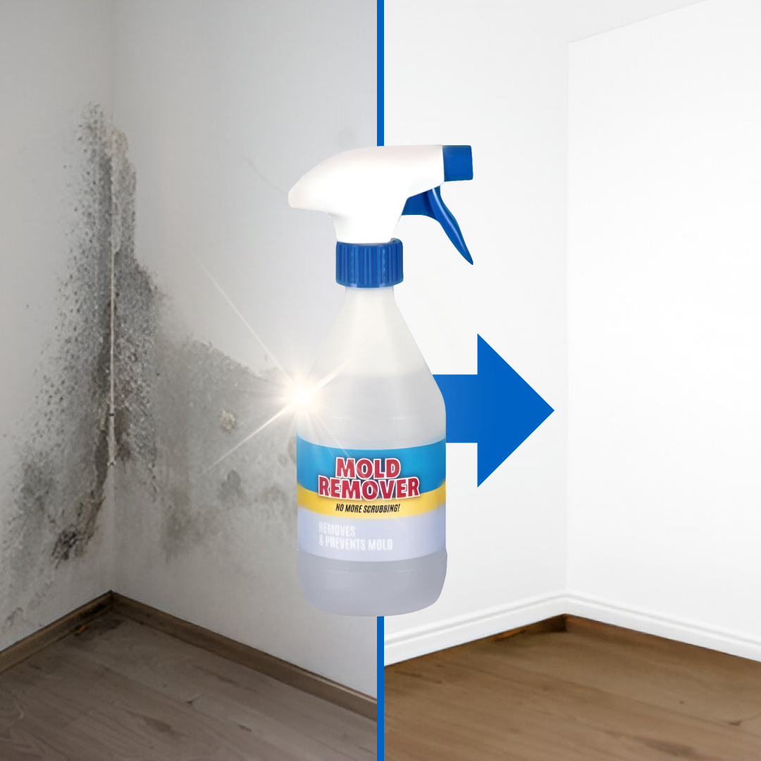 Moldguard – Spray per la rimozione della muffa e l’eliminazione permanente della muffa in casa - immagine 3