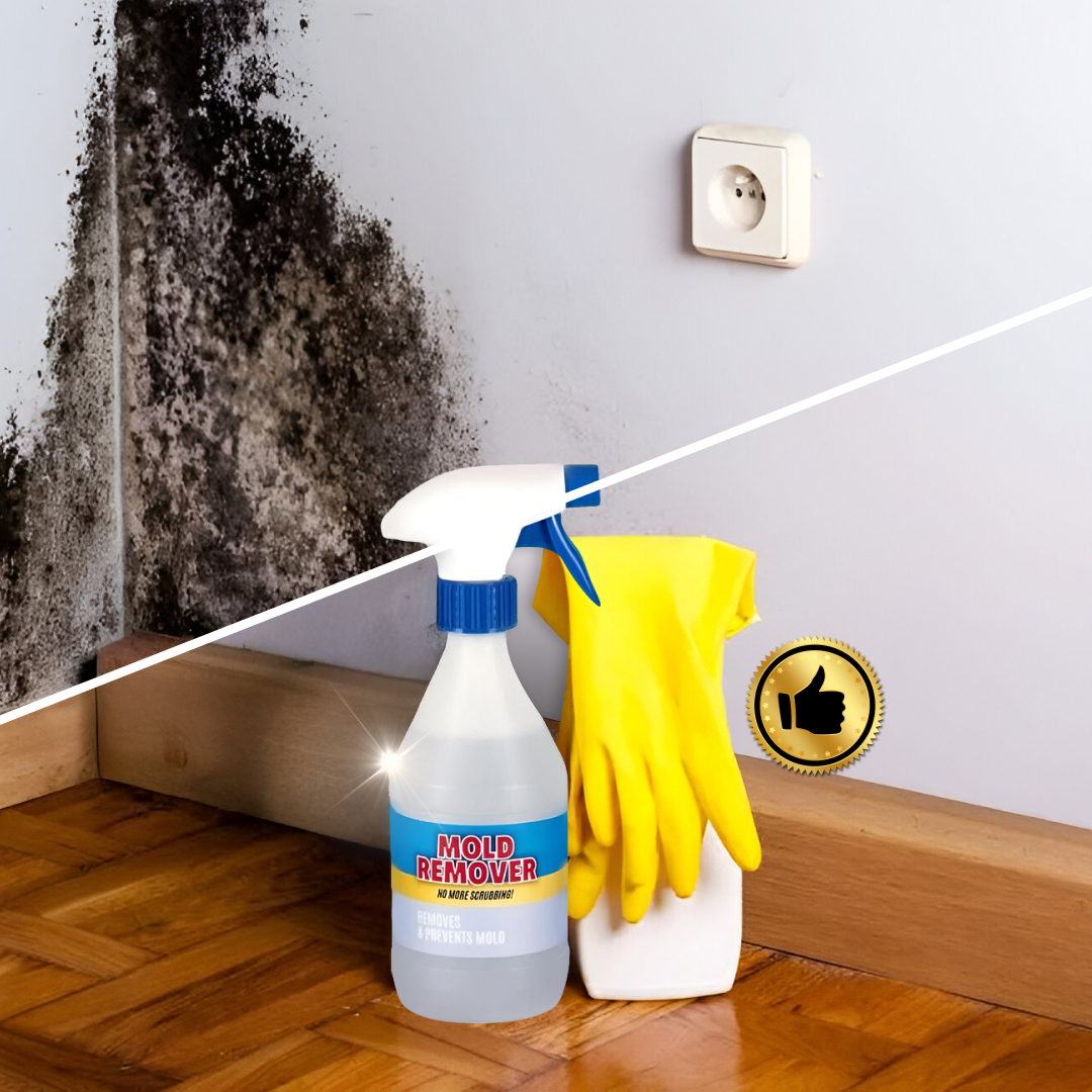 Moldguard – Spray per la rimozione della muffa e l’eliminazione permanente della muffa in casa - immagine 5