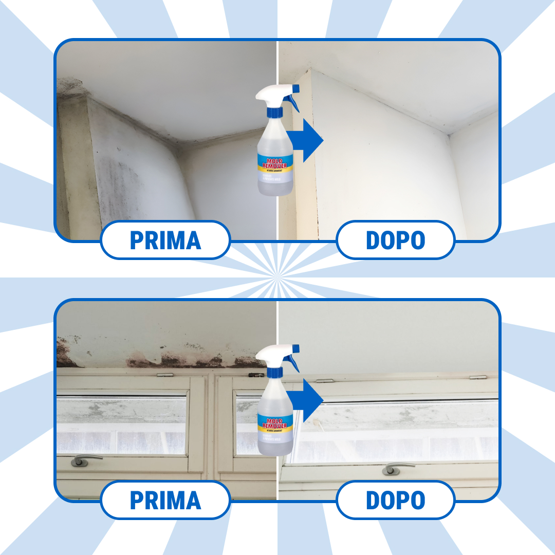 Moldguard – Spray per la rimozione della muffa e l’eliminazione permanente della muffa in casa - immagine 6