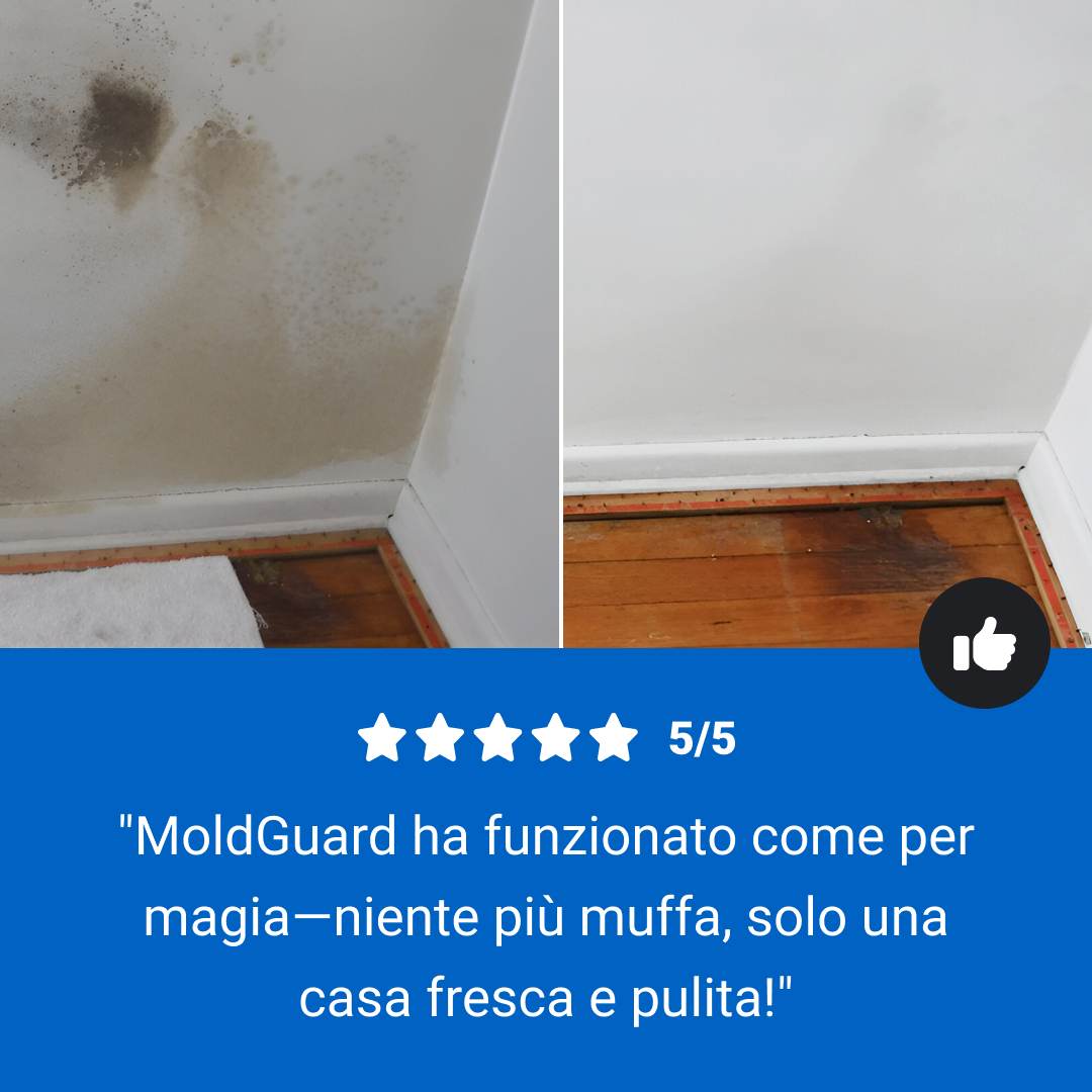 Moldguard – Spray per la rimozione della muffa e l’eliminazione permanente della muffa in casa - immagine 8