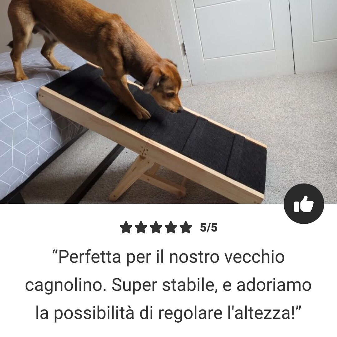PetEase – rampa per un accesso facile e sicuro per animali anziani e di piccola taglia - immagine 5